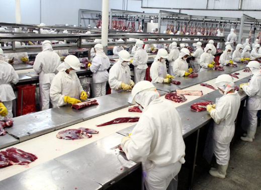 Captura de tela 2026-02-05 091739